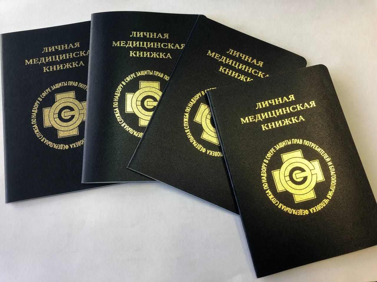Оформление медицинских книжек и санитарных минимумов